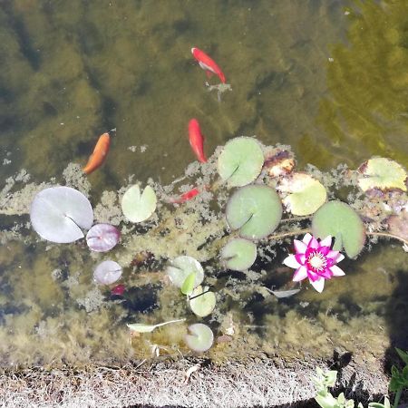 Un Avant Gout Du Nirvana Canet  Esterno foto